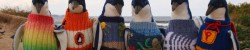 Strickpullover für Pinguine lassen Hipster-Herzen höher schlagen